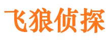 绿春市侦探公司